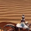 _hamad33