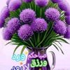 nesrinaberrached