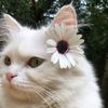 salma_gamal22
