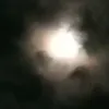 bilqis_ajj