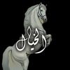 alfaris_55