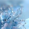 mari_503..ff