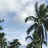 zhaimaiqa