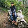 dinhluat777