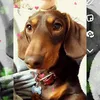 stanley_26921