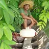 trongtranhuu436