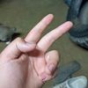 ahlong718