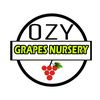 OZY GRAPES