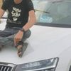 ﮼سامح٫ابو٫حاكم