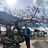 nguyenxuanphuctgttravel