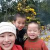 nguyenhieu71986