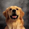 goodboyaugust