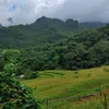 trangphan6101