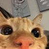 nanjdp109
