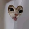lollylope_