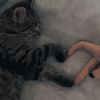 meowwmeow1234