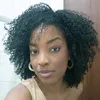 lidiafelisardo