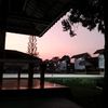 westborneo110605