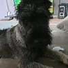 cuba_pfeffersalz