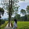 fika.ainun