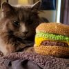 neganthiefcat