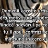 ela.miha3