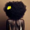 belle.africaine