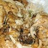 sephcook