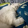 milkymoly6