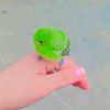 rakib337059p