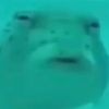 the_meme_lord_420