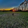 iluvduckhunting