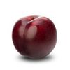 eternal_plum
