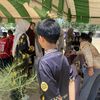 mumi_n.tohngoh