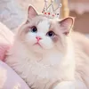 mimmim.26