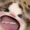 quynhnhu_10120