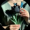 🦋 نسمات هادئة 🦋
