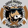 syamsularifin9246