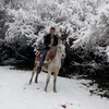 haval_xaty1