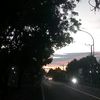 coriss54