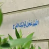 iiz_i22