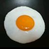 telor110099