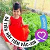 nguynthanh0127
