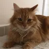 sunfunsome