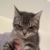 lra_sntls
