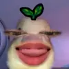 _xtwyaa