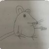 rat991inmyhome