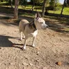 oscargil4458
