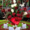 hussain.shah244