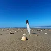 sharafeee